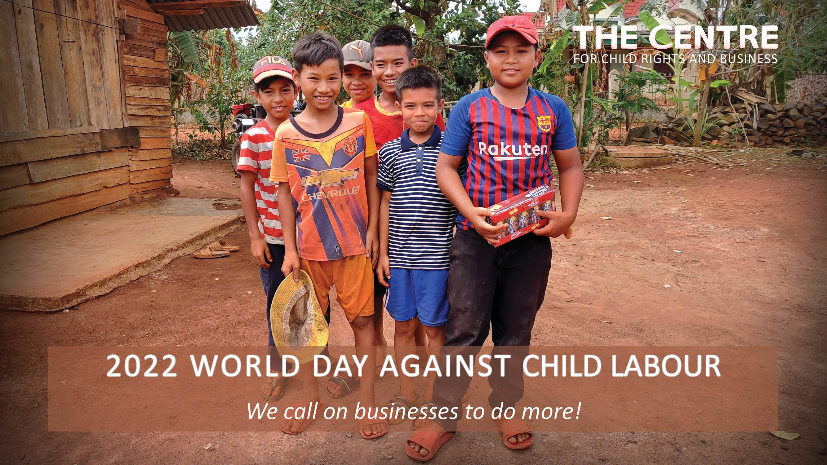 Child Labour in Vietnam’s Agriculture Sector: The Story of One Boy in Vietnam, the Fate of Millions of Children Worldwide